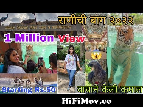 राणीची बाग ( भायखळा ) २०२२ | Rani Baug Bayculla ||zoo in Mumbai  2022#baykulla #Ranibaug #Tiger from ranichrji hd Watch Video 