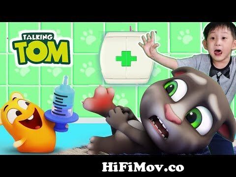 My Talking Tom in REAL LIFE Ruined Our House and more Nate Stories from funny  talking tom new Watch Video 