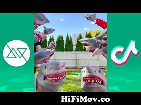 Shark puppet vs megalodon from shark puppet meg Watch Video 