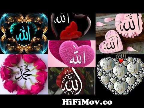 Islamic Dp Images for whatsapp|#Allah Mohammad names Wallpaper hd from  wallpaperlist allahmuhmmad Watch Video 
