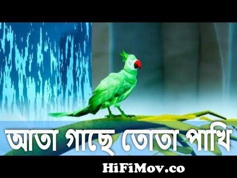 আতা গাছে তোতা পাখি ডালিম গাছে মৌ | ata gache tota pakhi | bangla cartoon  from ছড়া আতা গাছ Watch Video 