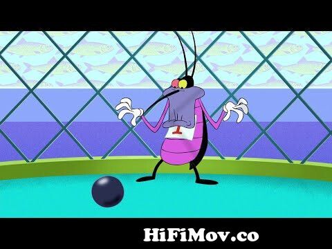Oggy and the Cockroaches - Sport Fans (s04e26) Full Episode in HD from  cartoon natwork oggy hindi ful Watch Video 
