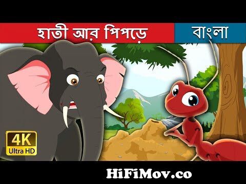 হাতী আর পিপড়ে | Elephant and Ant in Bengali | Bangla Cartoon |Rupkothar  Golpo| Bengali Fairy Tales from ভিডিও হাতির কাটুন Watch Video 