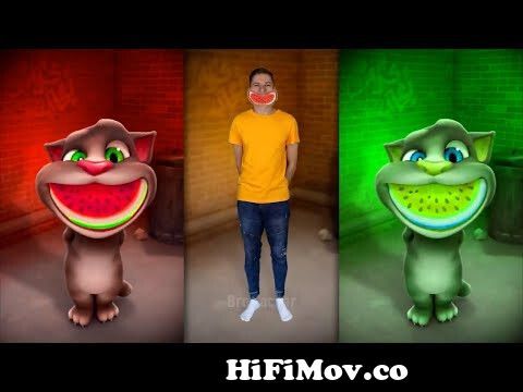 Repeat After Talking Tom Challenge - Talking Tom and Me from indian dj video  tomcat Watch Video 