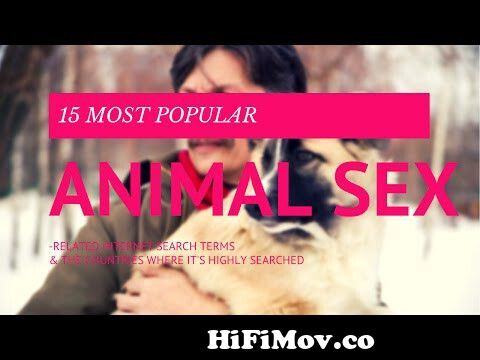 10 Most Popular Animal Sex-Related Internet Search Terms & The Countries  Where It's Highly Searched from www xex net Watch Video 