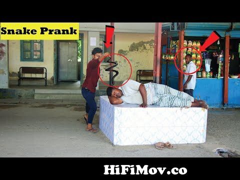 Snake Prank On Public Funny Reaction 🐍The Best Reaction On Public part 3  🐍 from prank cobra hdndin videuo coma bd com Watch Video 