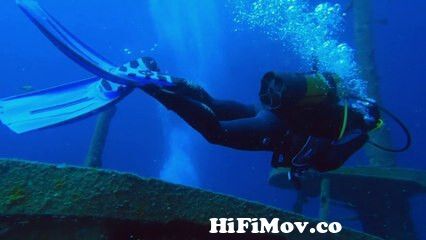 View Full Screen: cozumel scuba diving 124 scuba diving in the ocean 124 copyright free videos 124 romance post bd.jpg