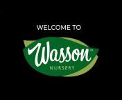 Wasson Nursery and Landscaping