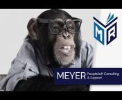 Meyer Consulting Group, LLC.