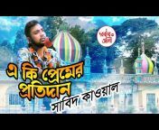 Darbara Ali TV (দরবারে আলী টিভি)