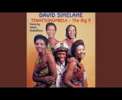 David Simelane - Topic