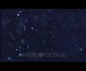 NatureFootage