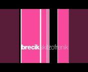 Brecik - Topic