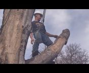 Fort Worth Tree Removal Services