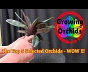 Growing Orchids with Roger