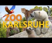 Zoo-Erlebnis