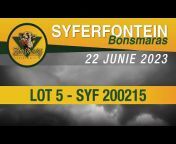 Syferfontein Bonsmaras