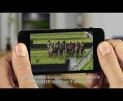 Mobile Horse Racing