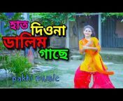 Pakhi Music