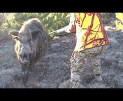 Top Wild Boar Hunts