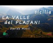 Davide Mocci DOC