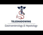 TeleShadowing