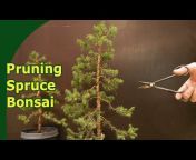 Growing Bonsai by Jelle