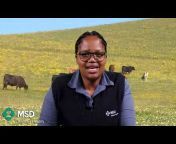 MSD Animal Health South Africa