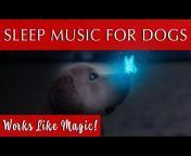 Merlin&#39;s Realms - Music for Dogs and Humans