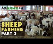 Agribusiness How It Works
