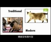 動物星球頻道/ Animal Planet Taiwan