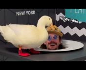 I took my duck to...