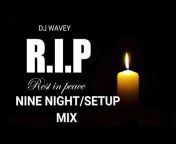 DJ WAVEY THE MIXING ALIEN