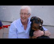 Paul O&#39;Grady: For the Love of Dogs