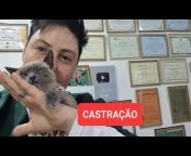 Thalita Portugal Veterinária