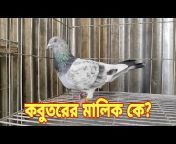 Jahid Pigeon Lover