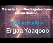 Macaafa Qulqulluu Afaan Oromoo