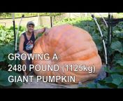 Northeast Giant Pumpkin