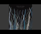 Pelican - Topic