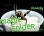 Magik_Spider