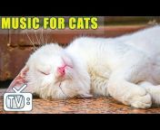 MUSIC FOR CAT
