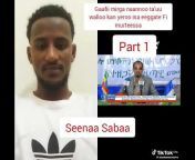 Seenaa Sabaa