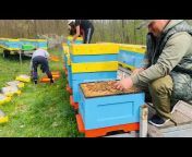 Пчелиные истории. Пасеки Андрея Бодян.