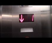 Elevators, Baby Einstein, u0026 More by cmc2002