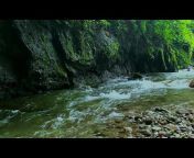 Nature Soundscapes Indonesia