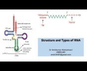 Biochemistry Basics by Dr Amit