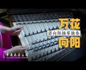 中央民族乐团 China National Traditional Orchestra
