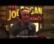 Daily JRE Clips