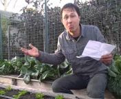 Learn Organic Gardening at GrowingYourGreens