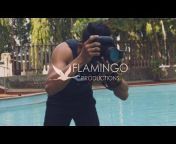 Flamingo Productions